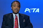 Rev. Al Sharpton KFC Video