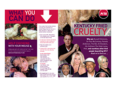 English Celebrity Leaflet