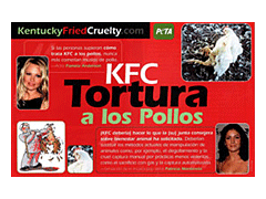 Spanish Celebrity Leaflet